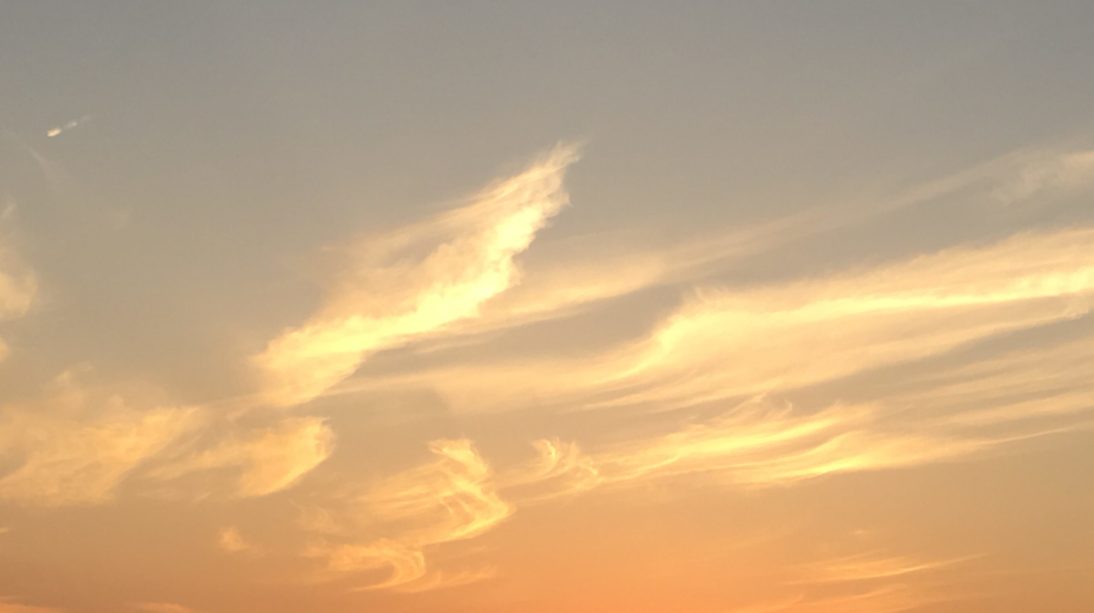 コンサルタント（仕事）に関するWebメディア